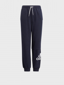 Спортивні штани Adidas ESSENTIALS Performance модель GN4036 Фото