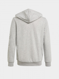 Кофта Adidas Essentials модель GN4039 Фото