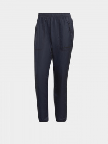 Штани спортивні Adidas MULTI PRIMEGREEN TERREX модель GQ2910 Фото