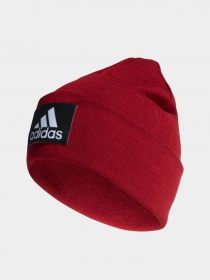 Шапка Adidas модель DZ8931 Шапка Adidas модель DZ8931 Фото
