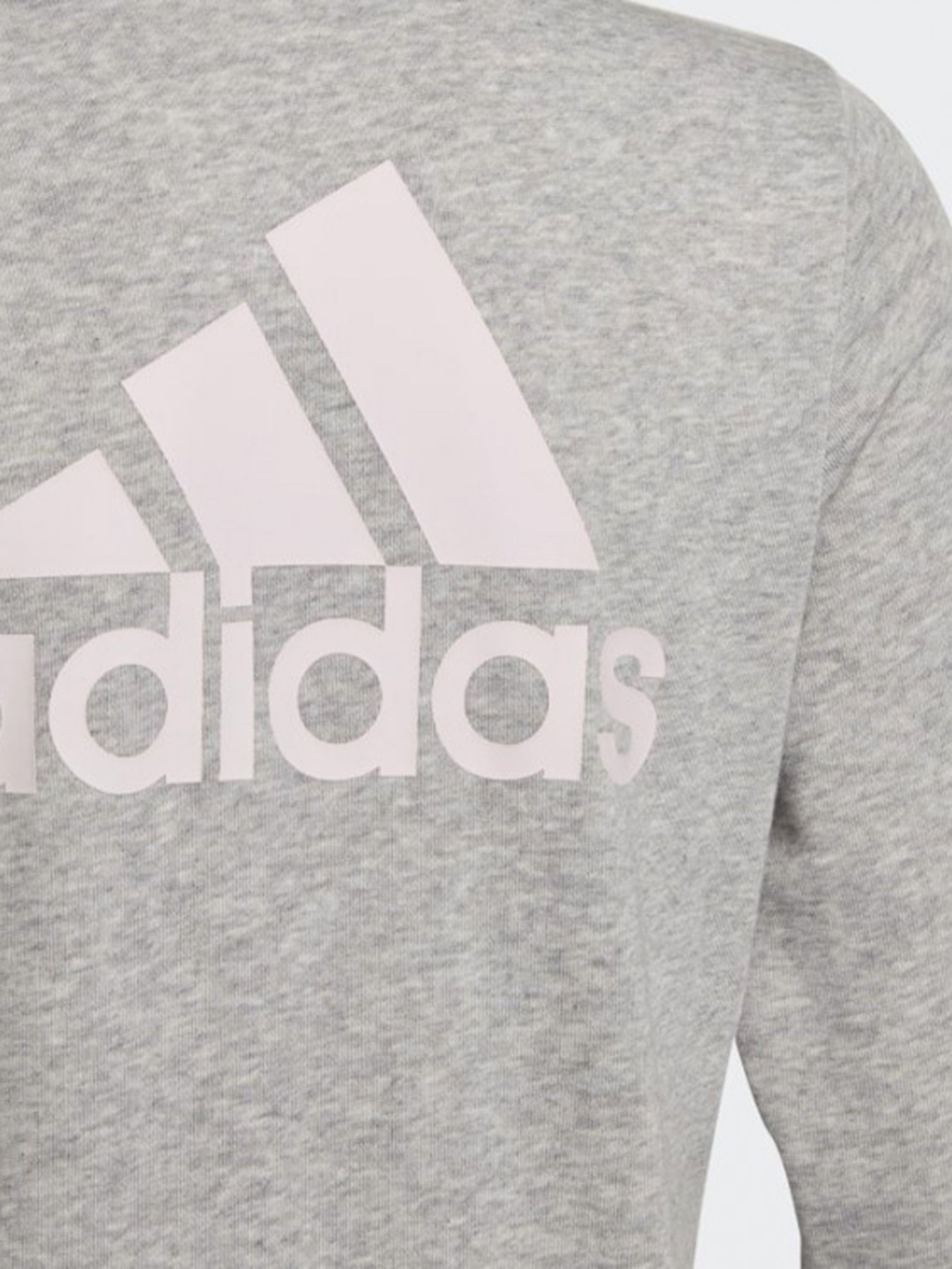 Кофта Adidas Essentials модель GS2172 Фото