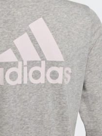 Кофта Adidas Essentials модель GS2172 Фото