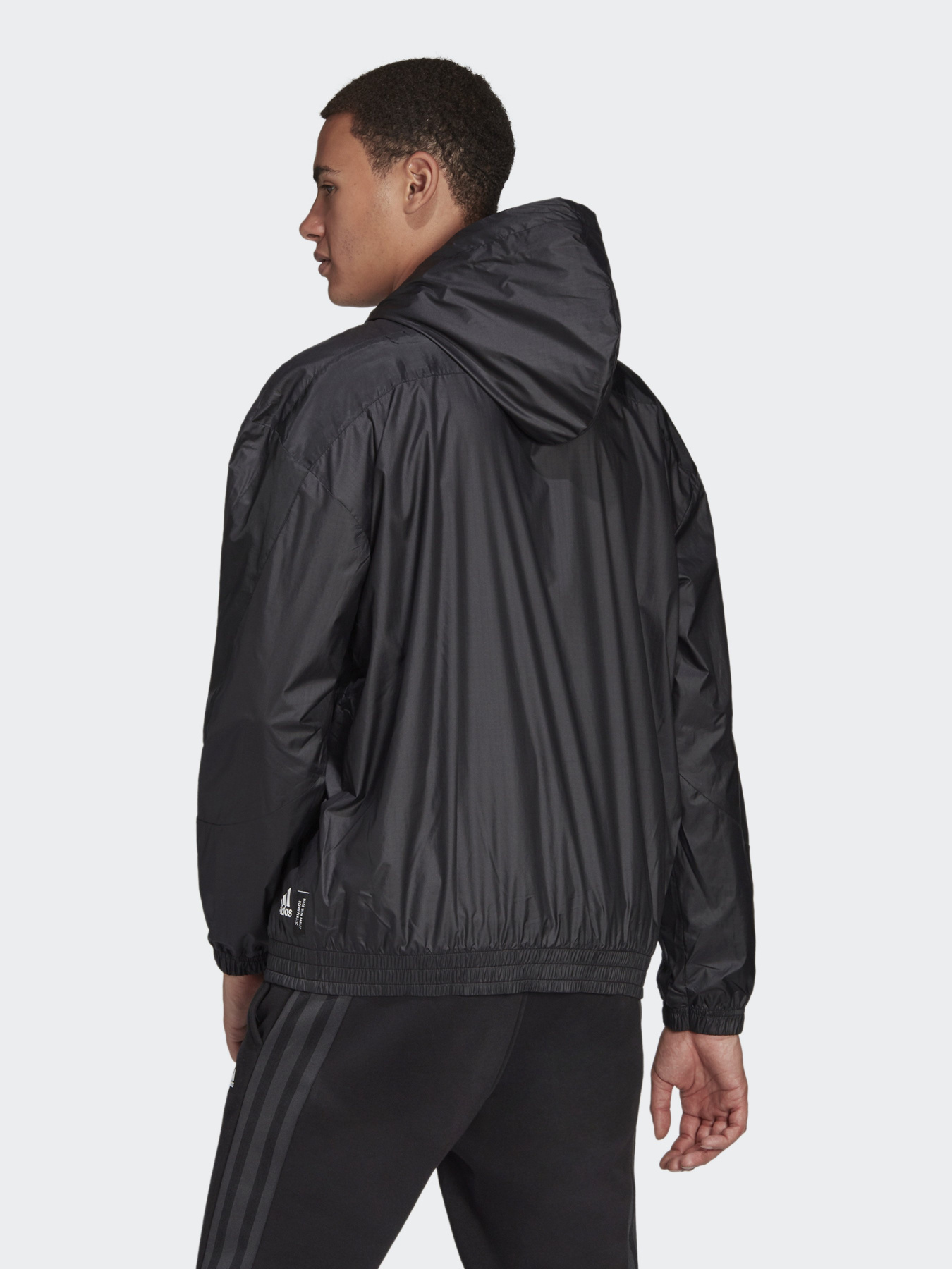 Ветровка Adidas Sportswear W.N.D. модель H42037 Фото