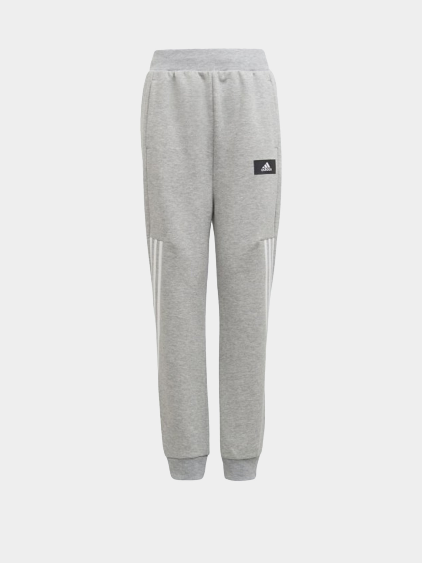 Штаны спортивные Adidas Future Icons 3-Stripes модель H44338 Фото