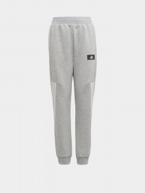 Штаны спортивные Adidas Future Icons 3-Stripes модель H44338 Фото