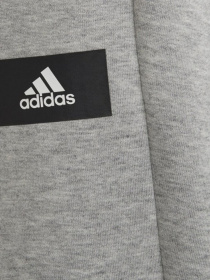 Штаны спортивные Adidas Future Icons 3-Stripes модель H44338 Фото