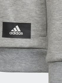 Кофта Adidas Future Icons 3-Stripes модель H44344 Фото