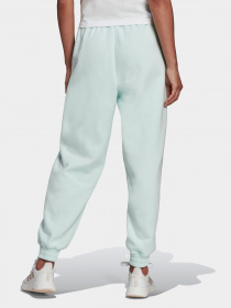 Штаны спортивные Adidas Essentials Studio модель HD6808 Фото