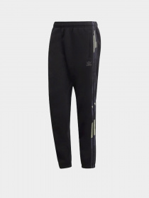 Спортивні штани Adidas Graphics Camo модель HF4878 Фото