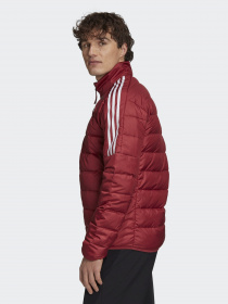 Пуховик Adidas ESSENTIALS модель GH4595 Фото