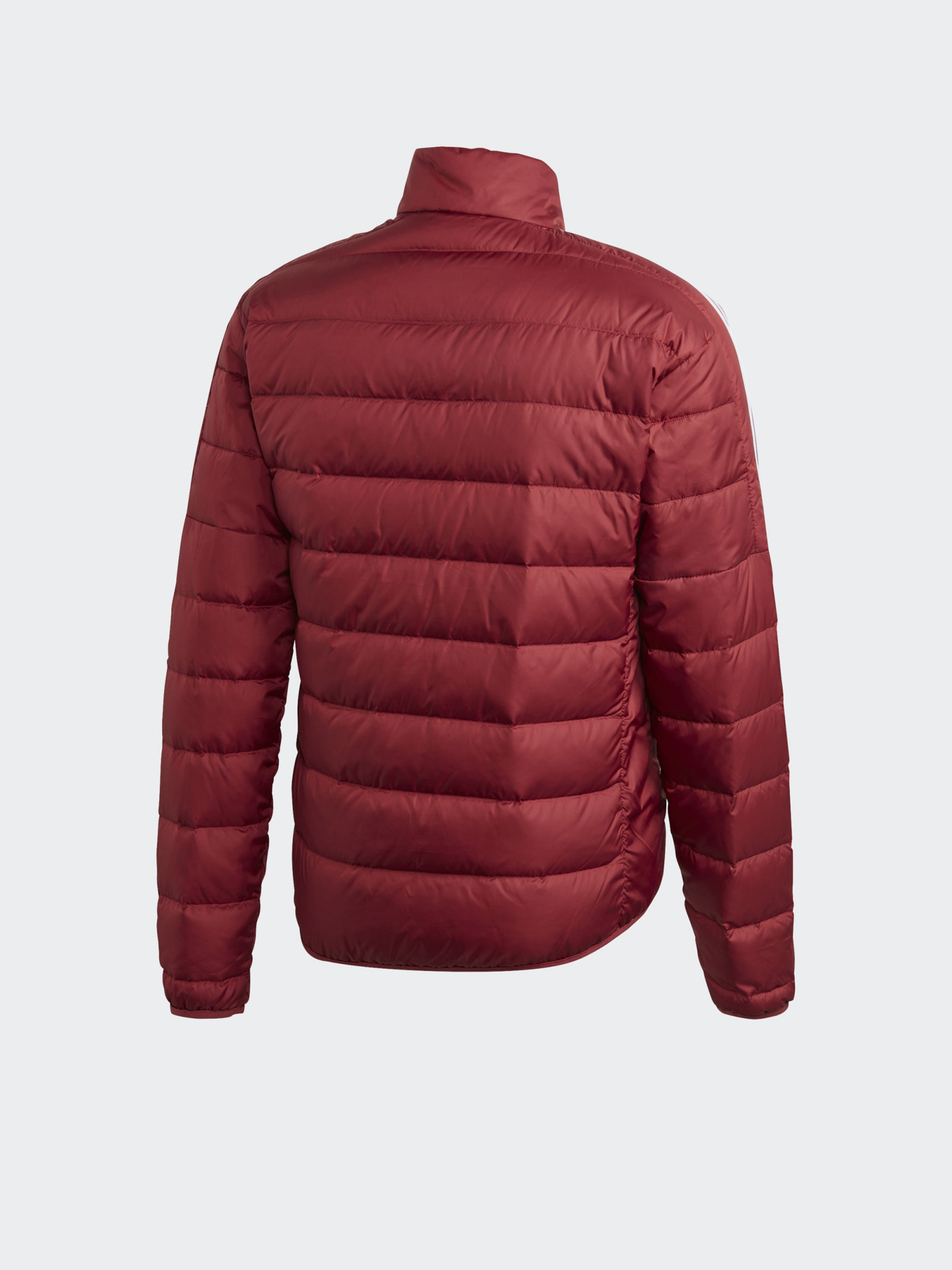 Пуховик Adidas ESSENTIALS модель GH4595 Фото