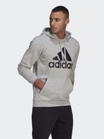 Худи Adidas ESSENTIALS BIG LOGO модель GK9541 Фото