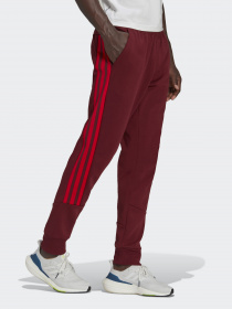 Штаны спортивные Adidas M FI 3S модель HC5262 Фото