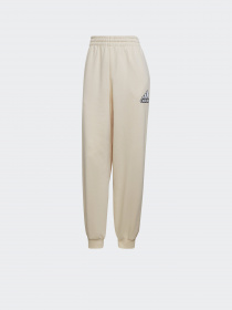 Штаны спортивные Adidas Essentials Outline Logo модель HC9175 Фото