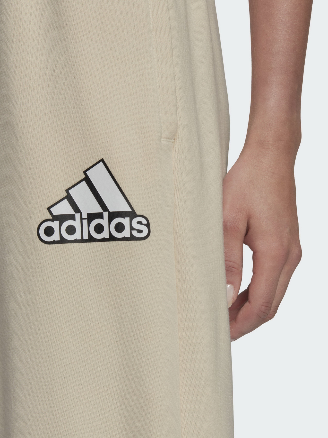 Штаны спортивные Adidas Essentials Outline Logo модель HC9175 Фото