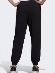 Штаны спортивные Adidas Essentials Outline Logo модель HC9176 Фото