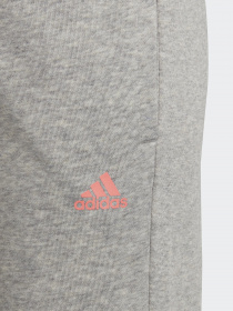 Спортивні штани Adidas ESSENTIALS модель HE1976 Фото