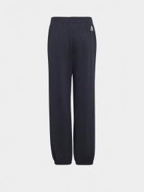 Штаны спортивные Adidas FUTURE ICONS 3-STRIPES модель HF2180 Фото