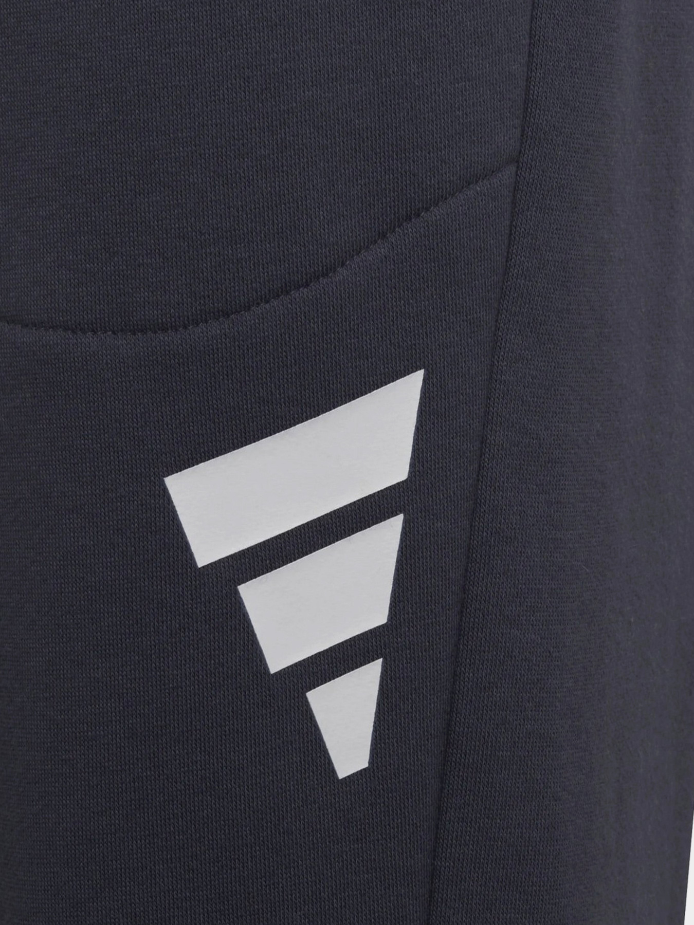 Спортивні штани Adidas FUTURE ICONS 3-STRIPES модель HF2180 Фото