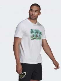 Футболка Adidas SPRT Summer модель HE4717 Фото