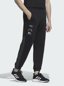 Спортивні штани Adidas Showtime Graphic модель HE7462 Фото