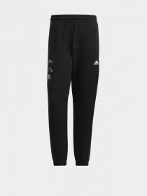 Спортивні штани Adidas Showtime Graphic модель HE7462 Фото