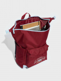 Рюкзак Adidas Collegiate Youth модель II3367 Фото