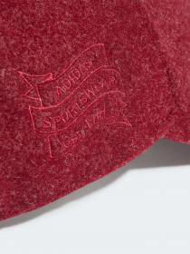 Кепка Adidas Wool Performance модель IJ7300 Кепка Adidas Wool Performance модель IJ7300 Фото