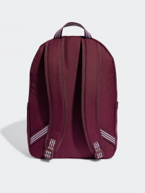 Рюкзак Adidas Adicolor модель IL1961 Фото