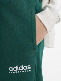 Штани спортивні Adidas All SZN Fleece Graphic Sportswear модель IL3240 Фото