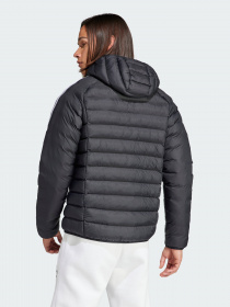 Зимняя куртка Adidas Padded Hooded Puffer Originals модель IL2563 Фото