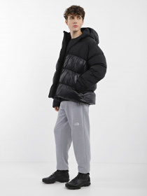 Пуховик Adidas Adicolor Down Regen Hooded Puffer модель IL2572 Фото