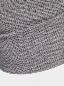 Шапка Adidas Adicolor Cuff модель GU0289 Фото