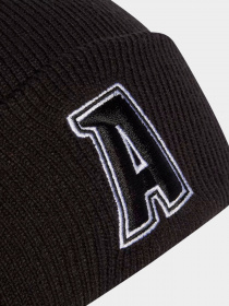 Шапка Adidas 2-Color Logo модель IB3236 Фото