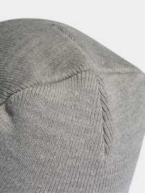 Шапка Adidas Logo модель II3523 Фото