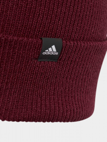 Шапка Adidas 2-Color Logo модель IJ7299 Фото