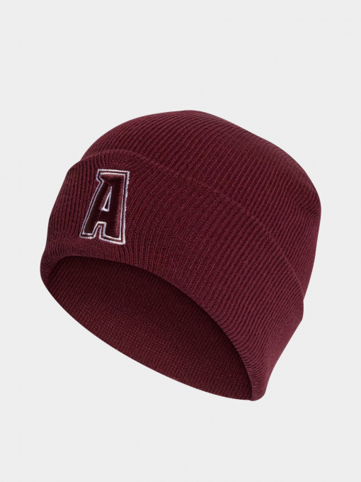 Шапка Adidas 2-Color Logo модель IJ7299 Фото