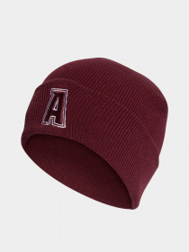 Шапка Adidas 2-Color Logo модель IJ7299 Фото