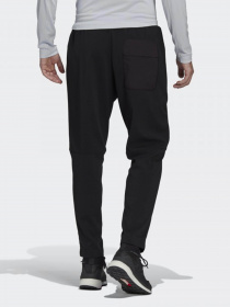 Штаны спортивные Adidas Terrex Multi Primegreen модель GM4771 Фото