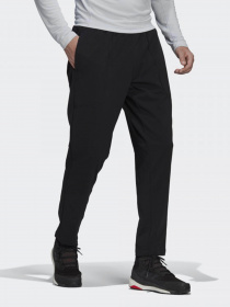 Штаны спортивные Adidas Terrex Multi Primegreen модель GM4771 Фото