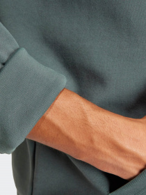 Худи Adidas FUTURE ICONS BADGE OF SPORT модель IN3324 Фото