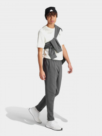 Штаны спортивные Adidas Future Icons Badge of Sport модель IR9177 Фото