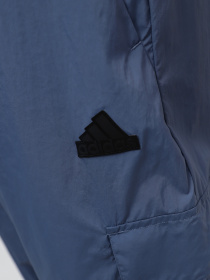 Штаны спортивные Adidas Ce Q2 Carg модель IR5165 Фото