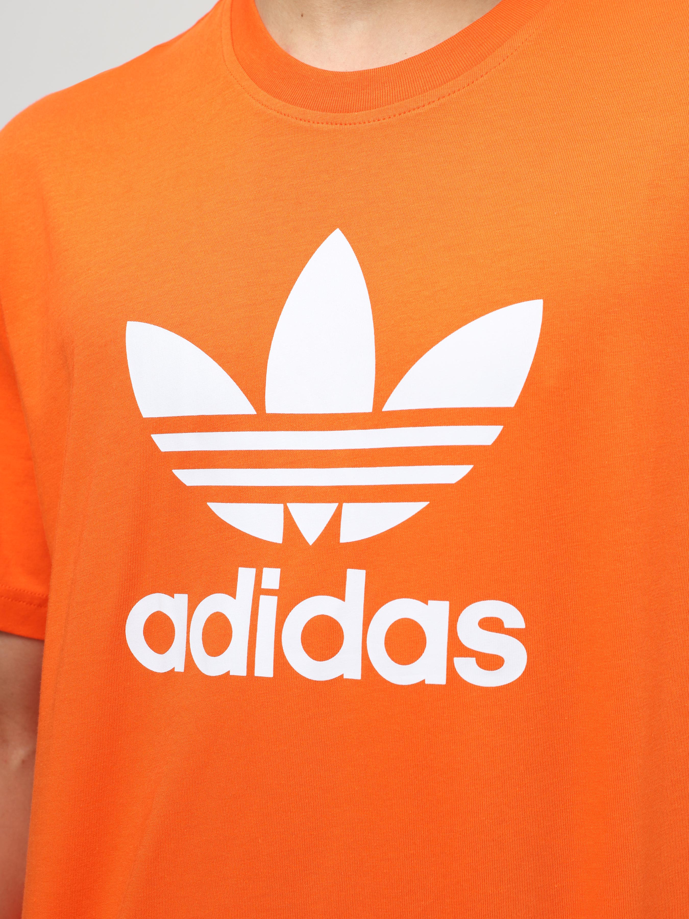 Футболка Adidas ADICOLOR TREFOIL модель IR8000 Фото