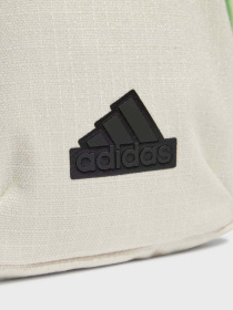 Мессенджер Adidas Xplorer Small модель IP0392 Фото