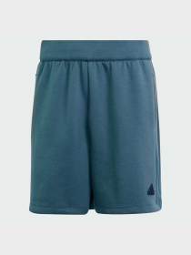 Шорти спортивні Adidas Z.N.E. Premium Sportswear модель IS8359 Фото