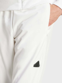 Штаны спортивные Adidas Z.N.E. WOVEN модель IN1909 Фото