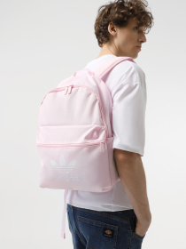 Рюкзак Adidas Adicolor Originals 21L модель IS4363 Фото