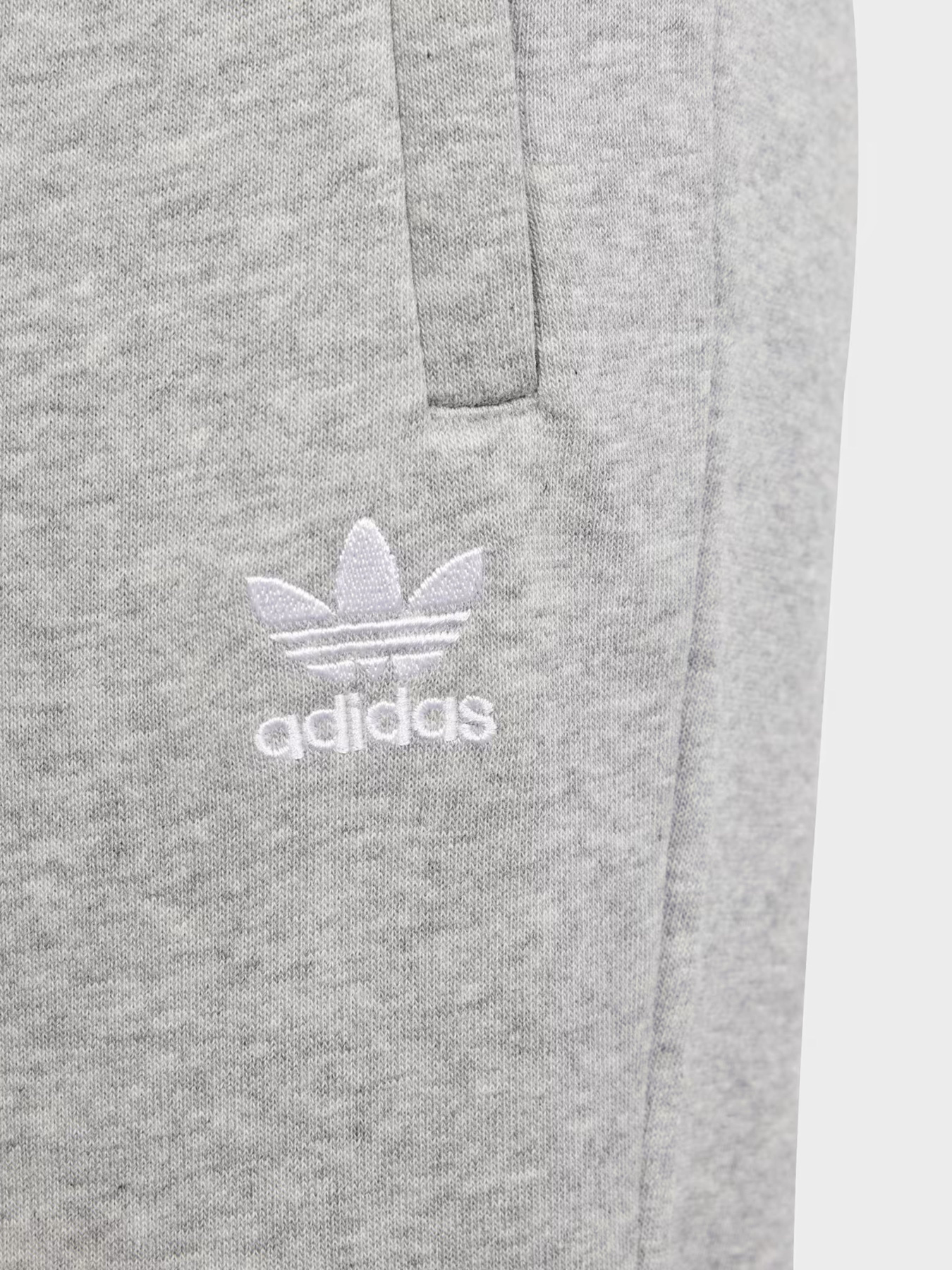 Спортивні штани Adidas ADICOLOR модель IP3077 Фото