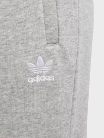 Спортивні штани Adidas ADICOLOR модель IP3077 Фото